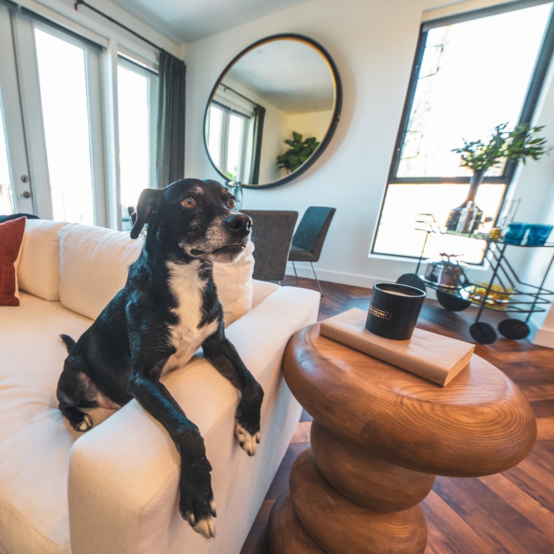 west hollywood pet friendly apartments